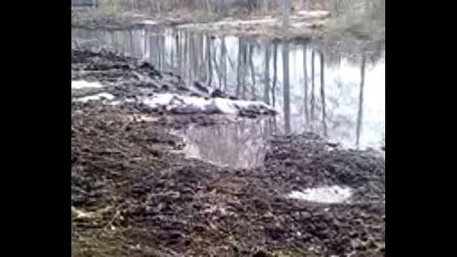 #ППМИ2019 Состояние дороги Крым Сараево Лесопарковая