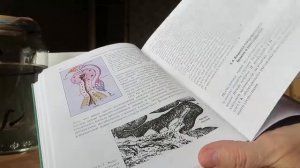 КНИГИ ПО ГИРУДОТЕРАПИИ ДЛЯ ВРАЧЕЙ ЧАСТЬ 2 Баскова И.П. Научные основы гирудотерапии