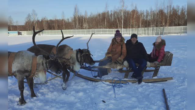 Оления ферма смотреть онлайн