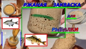 Ржаная закваска для рыбалки. Рецепт для подкормки.