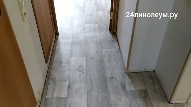 Укладка линолеума в четырёх комнатной квартире ул. Конституции 13 Ютекс Форум без приклейки