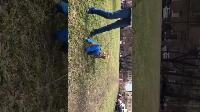 VID 20180424 WA0003