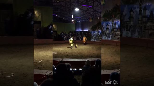 Новогоднее конное представление кц КАПРИОЛЬ