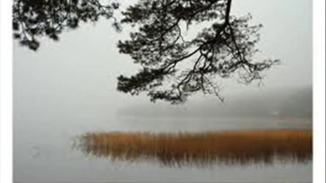 Утро туманное, утро седое....wmv смотреть онлайн