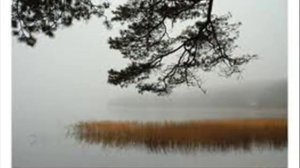 Утро туманное, утро седое....wmv