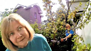 Абрикосу КОНЕЦ... Черешни половина ...