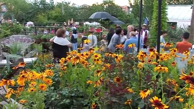 გამოფენა გარდენიაში смотреть онлайн