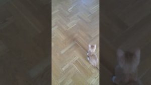 Надя ПОДСМАТРИВАЕТ!!