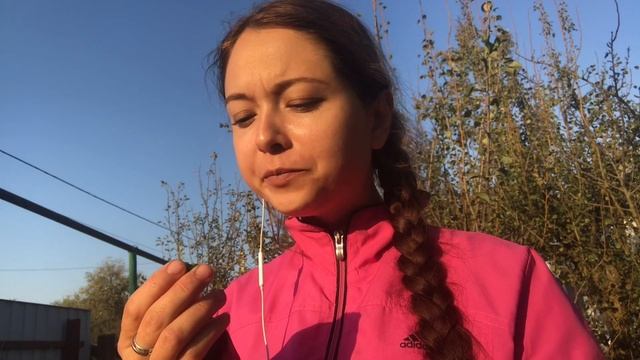 МИНИ АРБУЗ. МЕЛОТРИЯ ШЕРШАВАЯ. смотреть онлайн