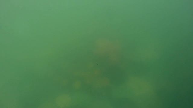 Москва, купание в фантане смотреть онлайн