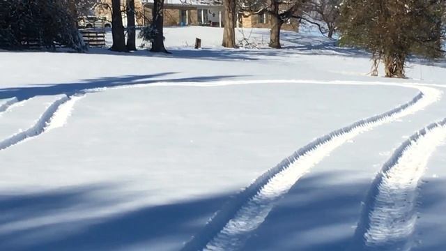 Катумские или Katahdin овцы. смотреть онлайн