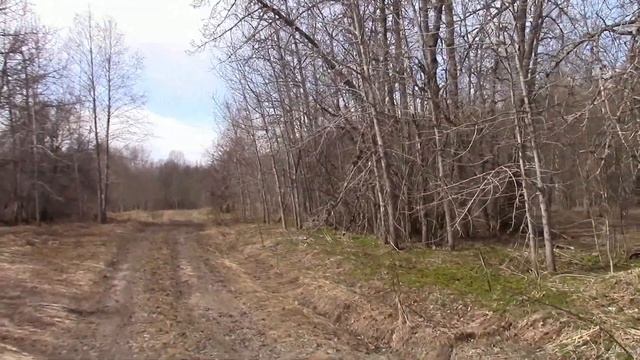 Древние земли Вологодской области. Поход с историческим рассказом. Священный камень.
