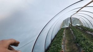 Балаган (парник, туннель, теплица). НОВОЕ ПОКОЛЕНИЕ ДВЕРЕЙ. част 2