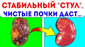 Стул по часам и почки чистые как стеклышко! Наладить пищеварение и почистить почки поможет…