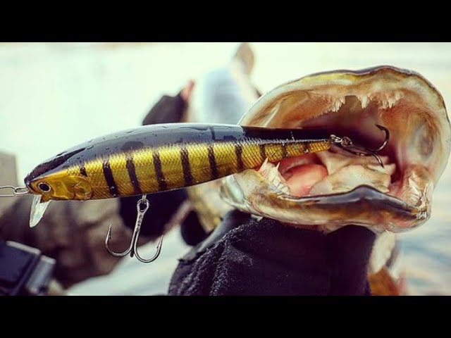 ПЕРВЫЙ ЛЕД ОТМЕНЯЕТСЯ!!! ЛОВИМ ЩУКУ НА ЛАДОЖСКОМ ОЗЕРЕ.РЫБАЛКА В ЛЕНИНГРАДСКОЙ ОБЛАСТИ. смотреть онлайн