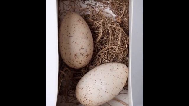 Обыкновенный старик и интересные факты о нем смотреть онлайн