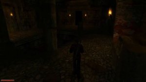 Готика 2НВ# 24,ловим Рангара, к ферме,прохождение задрота