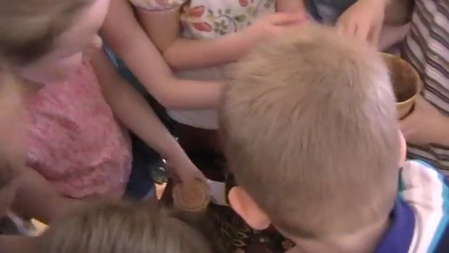 Видео Белоствольная березка. Часть 1 смотреть онлайн