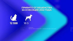 Всемирный день борьбы против бешенства ежегодно отмечается 28 сентября