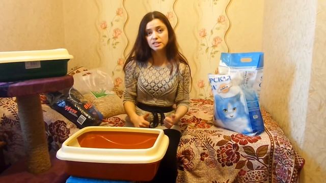 Как выбрать лоток для мейн-куна/наши любимые наполнители/питомник ЛИРИКУМ