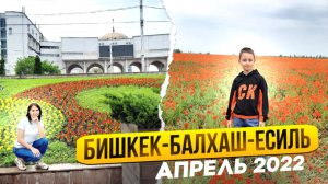 Бишкек. Граница Кордай. Автопутешествие в Кыргызстан. Казахстан трасса А -358