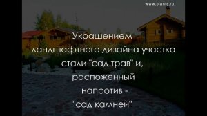 Ландшафтный дизайн участка 20 соток