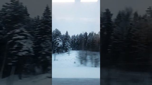 Лес #Россия смотреть онлайн