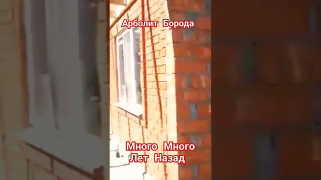 #окно #строительствозаборов #краснодар #строительстводеревянныхдомов #89816922458 #дизайн
