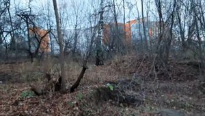 НЕИСПРАВИМЫЙ РОН - ПРОВАЛ или ШЕДЕВР?