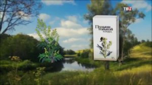 55 Полынь – это трава над травами