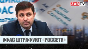 Может ли УФАС по Забайкальскому краю повлиять на работу «Россетей»