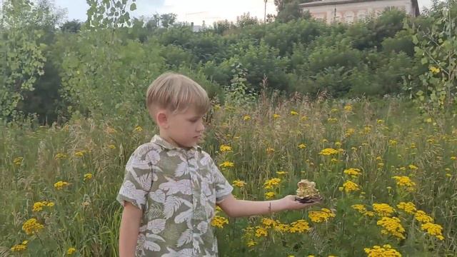 Наследие КИТ открывает дорогу юным любителям поэзии!!!🤗💖
