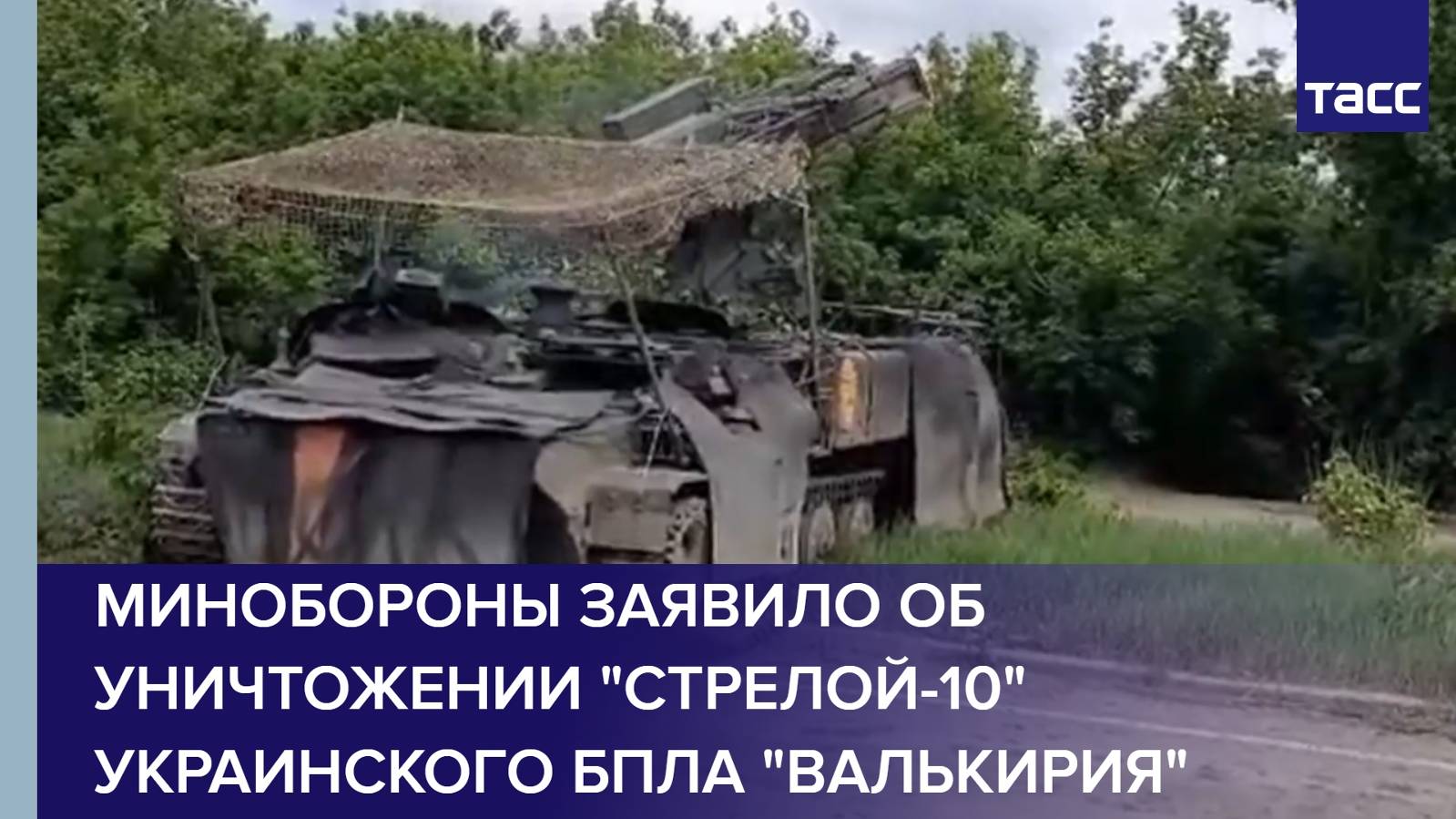 Минобороны заявило об уничтожении "Стрелой-10" украинского БПЛА "Валькирия"