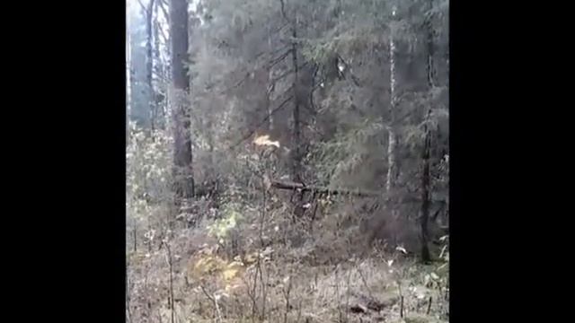 лайки смотреть онлайн