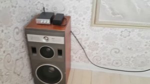 Усилитель Breeze Audio TPA5613  с акустикой Вега 25 АС 109-1