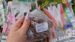Посадите ЭТИ ЦВЕТЫ ПОД ЗИМУ! Весной скажете СПАСИБО!