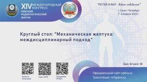 Круглый стол «Механическая желтуха: междисциплинарный подход»