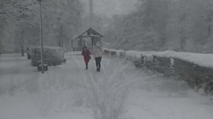 Артур - Падал белый снег(Псков)