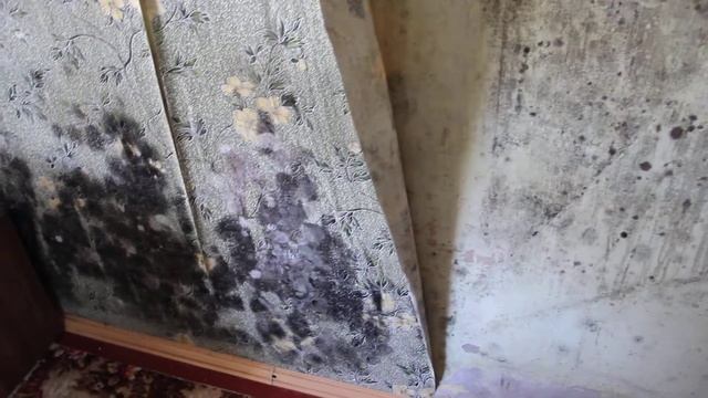 Промерзает торцевая стена дома через межплитные швы в городе Ревда ул. Спортивная 39