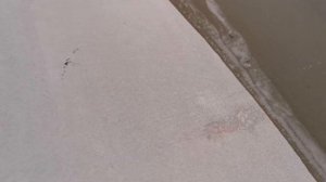 Пол в гараже. Какой выбрать раствор лучше