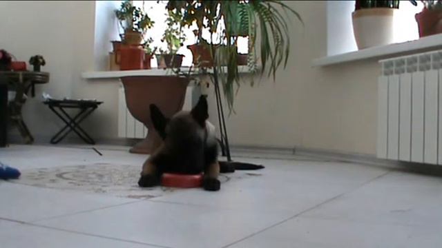 Обозначение предмета смотреть онлайн