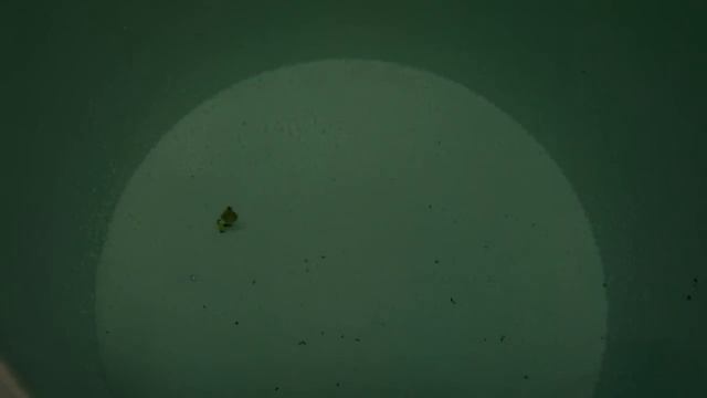 Блесна "Ромбик" - 40мм смотреть онлайн