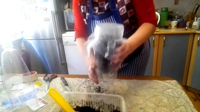 Рассада ЦВЕТОВ БЕЗ ПИКИРОВКИ смотреть онлайн