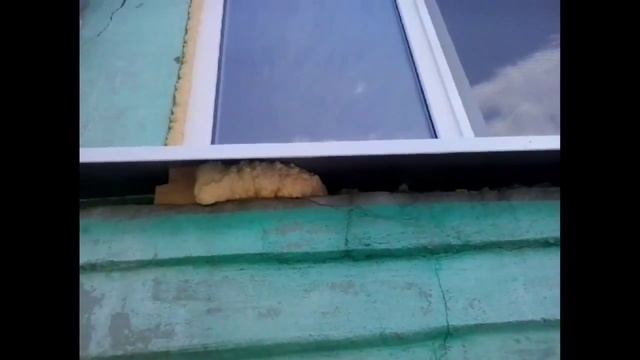 Как устанавливают пластиковые окна смотреть онлайн