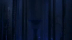 А.Розенбаум "Письмо"- всем морякам ( Ну вот и все, проложен курс и на борту комплект...)