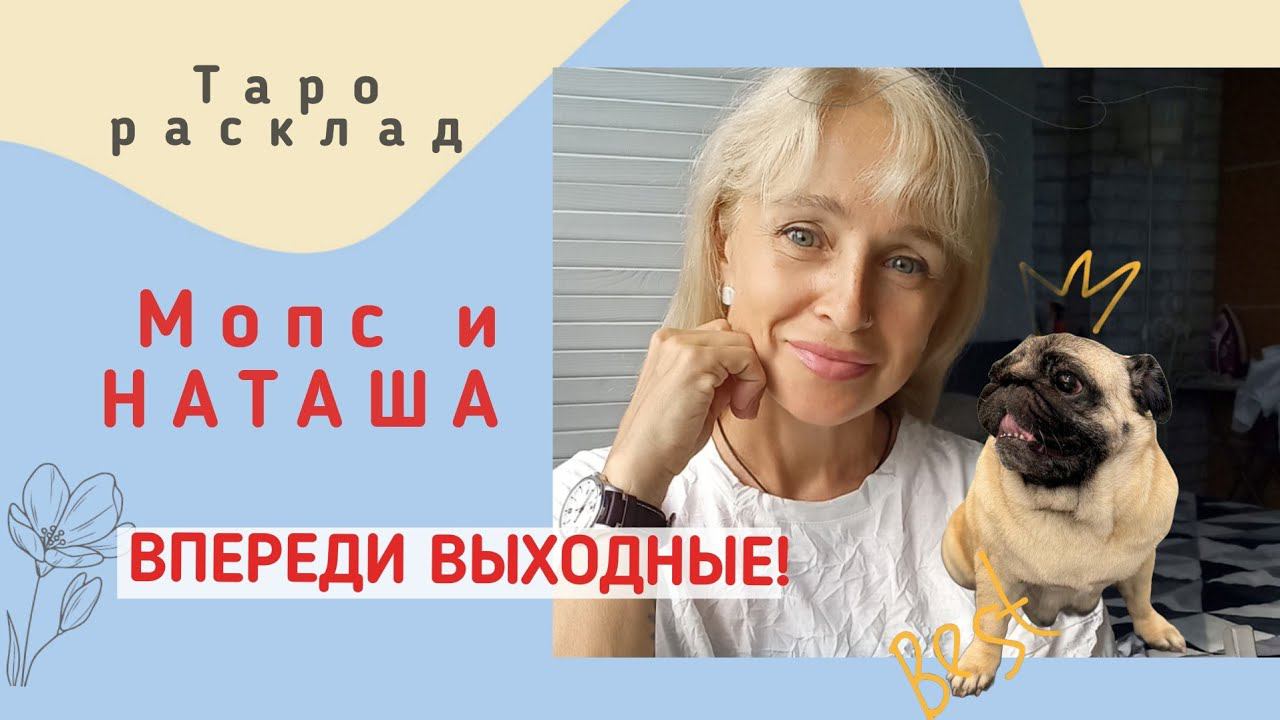 Мопс и Наташа советуютТаро-прогноз на выходные