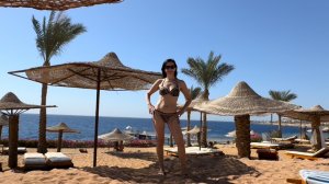 Красное море. Пляж. Пирс. Отель Monte Carlo Sharm Resort 5*. Шарм-Эль-Шейх, Египет. 12.09.2024