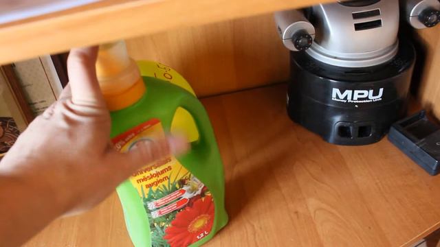 Экологически чистое бесплатное удобрение для рассады