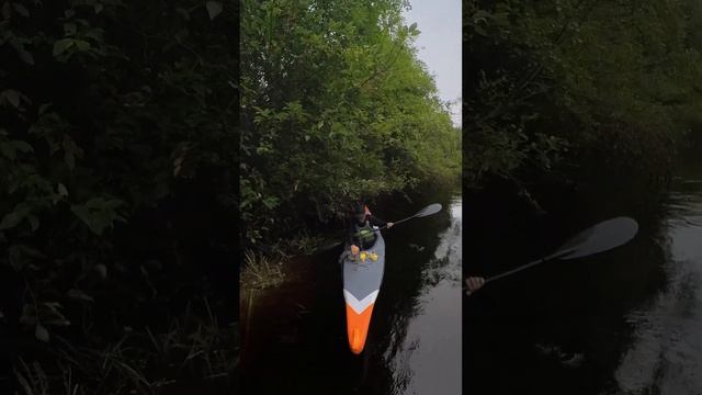 Picking litter in the river with kayak. Trash it not nice to environment!