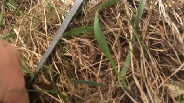 Trek Planet Omaha Twin 4 Кемпинговая палатка смотреть онлайн